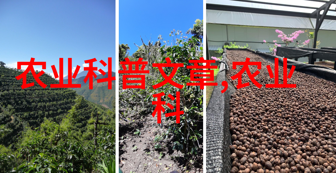 微型农场梦想2亩地的生机与活力