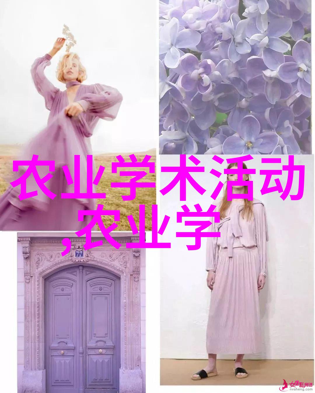 向日葵阳光下的笑容
