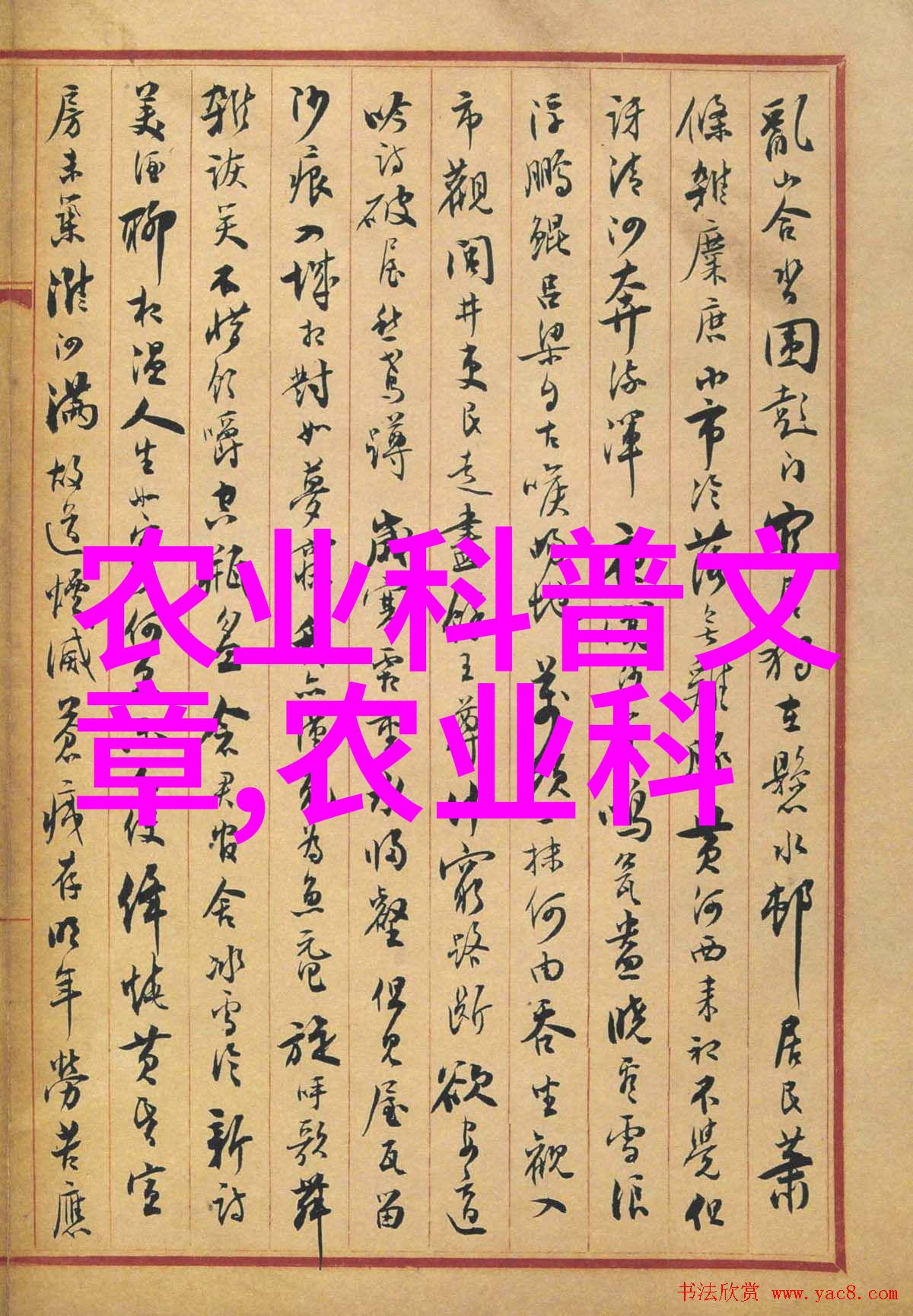 2花卉种植的步骤是从选择至养护的全程指南