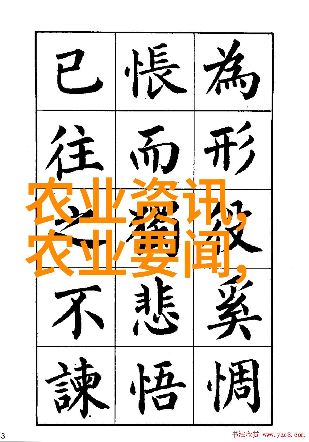 秋日花海精准栽培管理的艺术之道