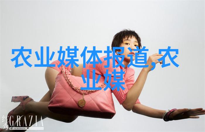 房间里的小森林学习如何营造生机勃勃的室内植被世界