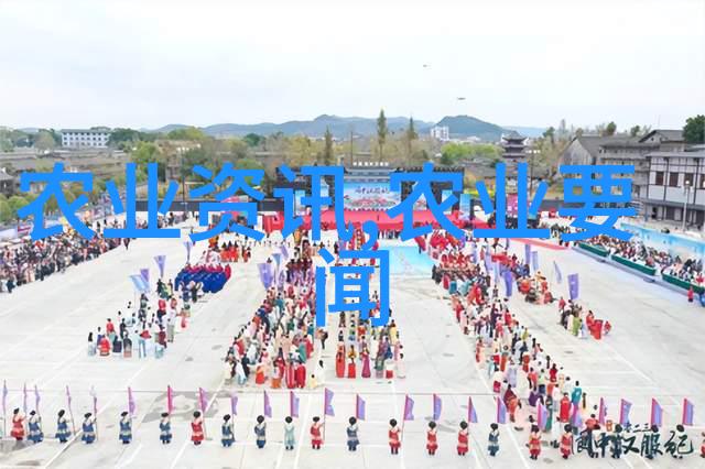 国家政策的制定权力与智慧的交汇点
