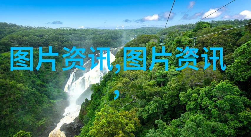旱地药材探秘沙漠中的医生