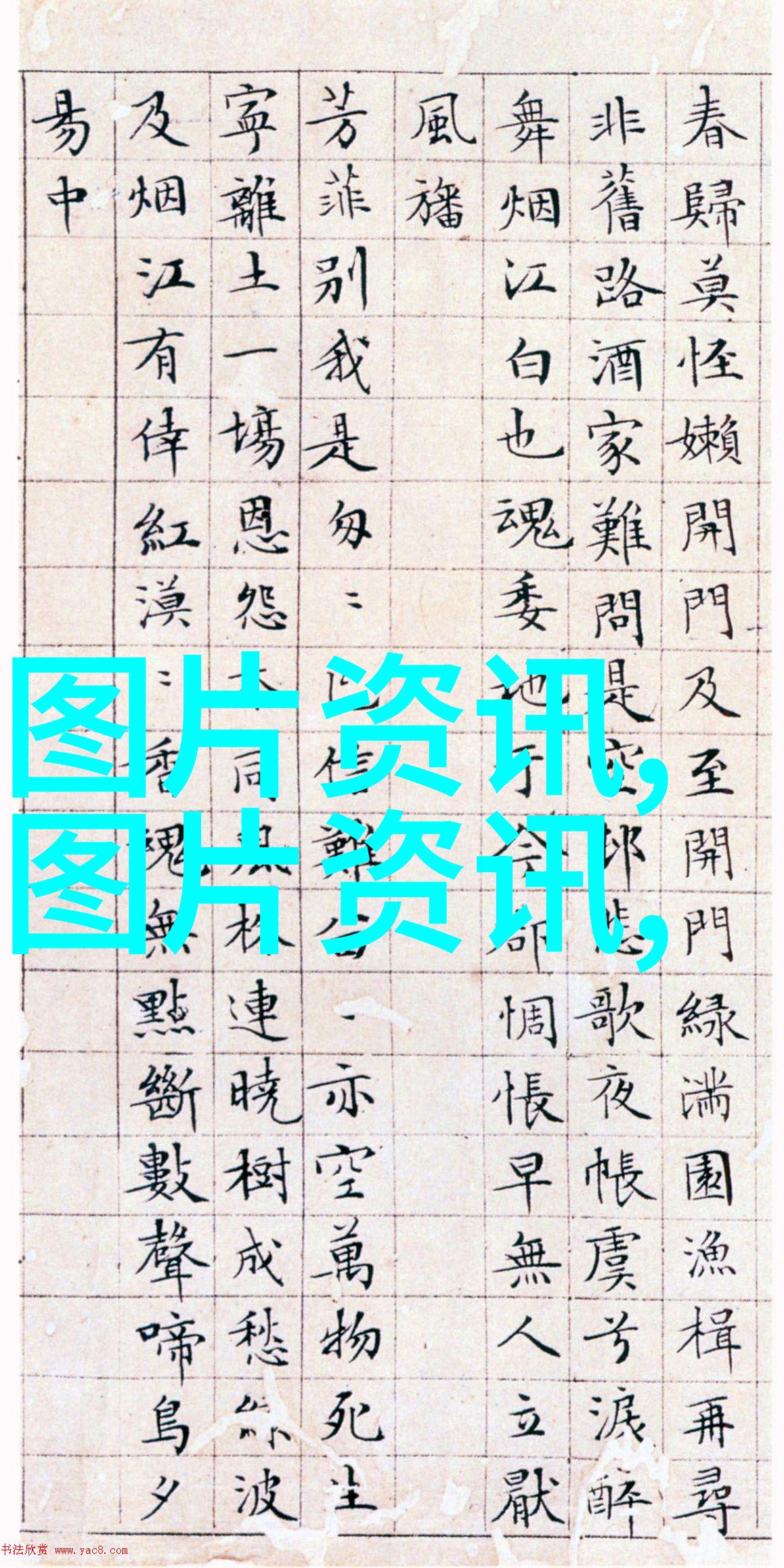 图像描述