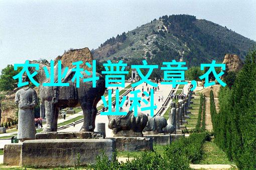 剖析蜜蜂团队合作精神为什么它们的工具如此高效