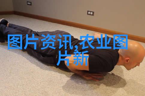 盆栽木本花卉大全我的室内小花园一本神奇的盆栽木本花卉指南