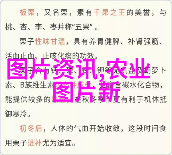 大数据时代下的就业新趋势与职业前景探究