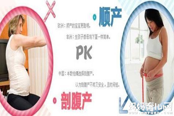 农业生产的知识 - 耕耘智慧解锁农业高效生产的秘诀