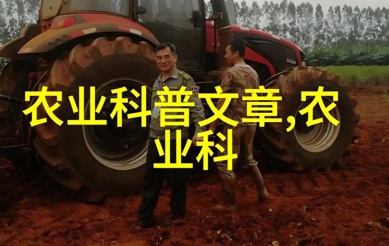 构建健康饮食如何合理摄入枣实的功效与方法