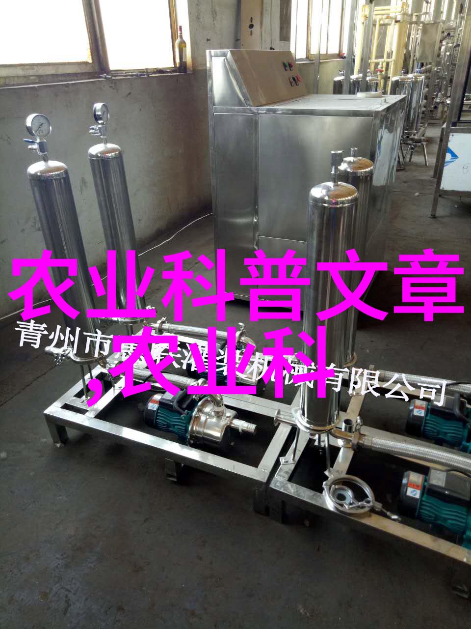 西安苗木交易市场失落的绿意与未解之谜