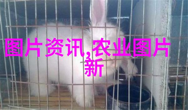 我来告诉你农机市场现状割草机的黑科技让农业生产更高效了