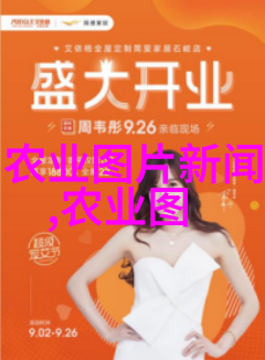 探秘中国药材市场交易网保障中医药健康产业发展的重要平台