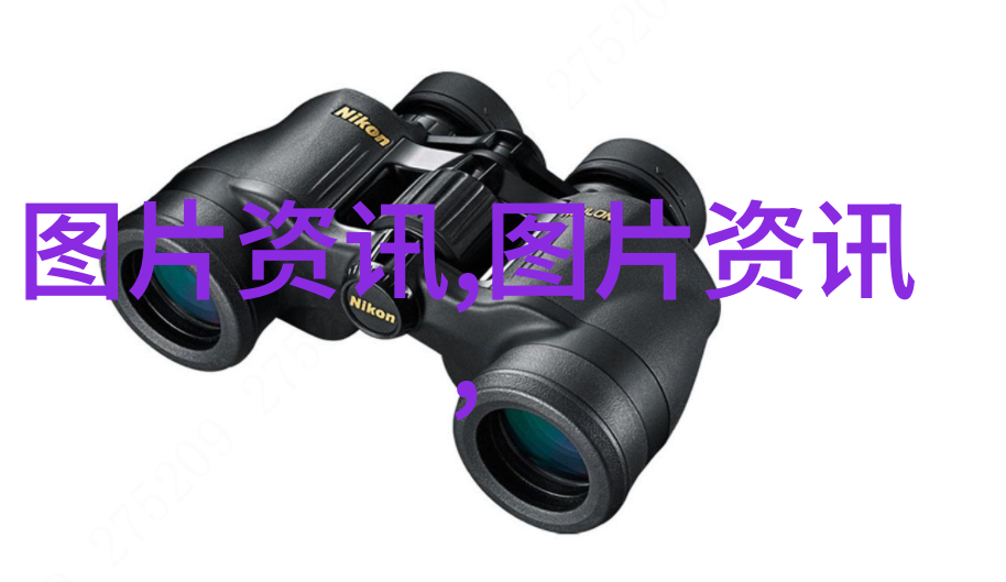 金华苗木网今日求购隰县森林公园云杉果实累累在自然中绽放