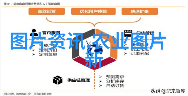 家庭养茶指南从种植到收获的全过程