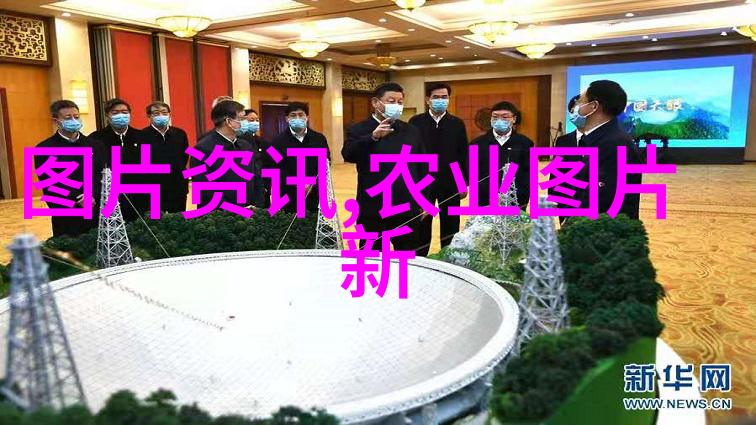 15公分白蜡价格植物园的绿色美丽