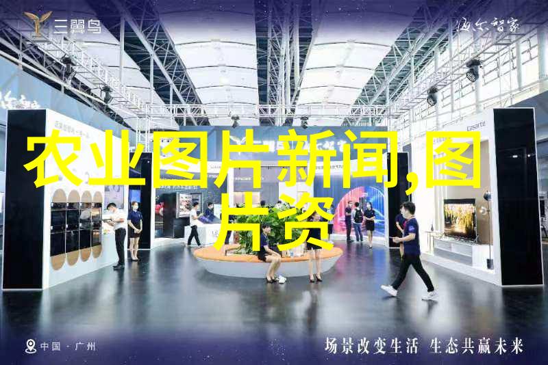 金枝槐的迷人魅力与市场定价探究