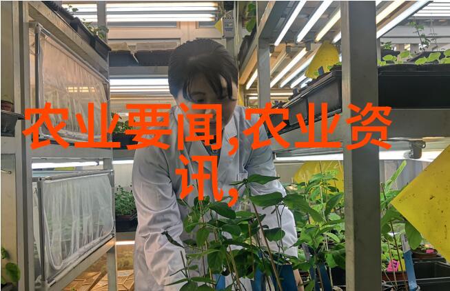 揭秘最新超市蔬菜价格表马铃薯田间管理的关键要点