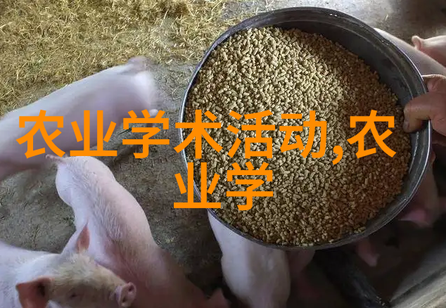大门前夕的守护者