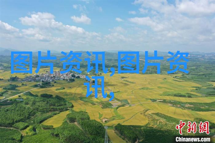 农业技术科普我来告诉你怎么让种子在土豆里长出甜美的新品种