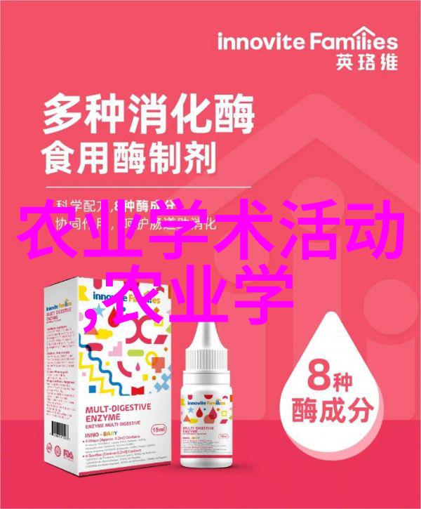 南方蜜蜂的家园选择理想的蜂箱类型