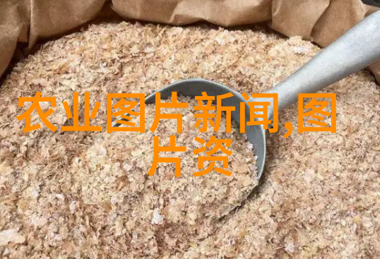 绿色纺织的未来我们会用上哪些种植方式