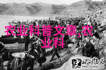 少爷太胡来-少爷的荒唐冒险一段不按常理出牌的故事
