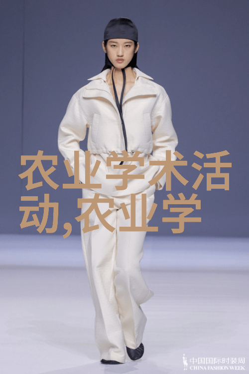 金钱与落叶一棵枫树的十年变迁