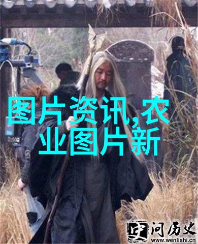 哪种药材利润高好种植-赚钱不难揭秘高收益药材的种植秘诀