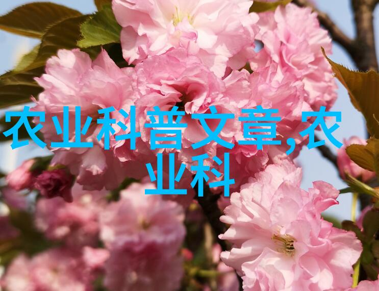 在设计公园时将要引进几株已有十余年历史的大型果木我们该怎么估算它们对景观整体价值的贡献