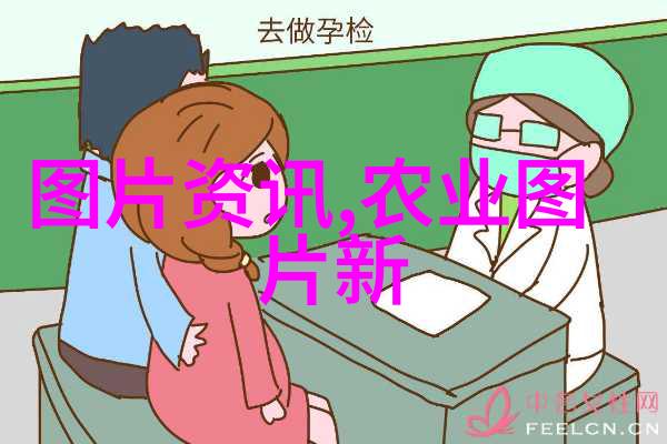 大数据技术就业方向我是如何在海量数据中找到我的理想岗位