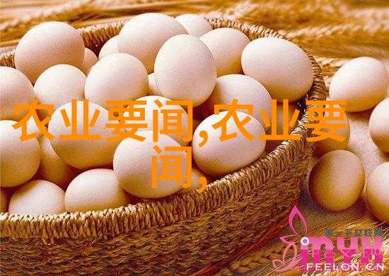 姜可小说全文免费阅读姜可林慕-慕情绘影姜可林的故事