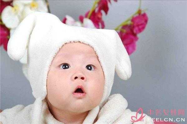 古老的土地农业文明的起源与发展