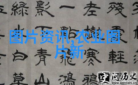 现代蔬菜大棚效果图-绿色宝库高科技蔬菜大棚的未来农业奇迹