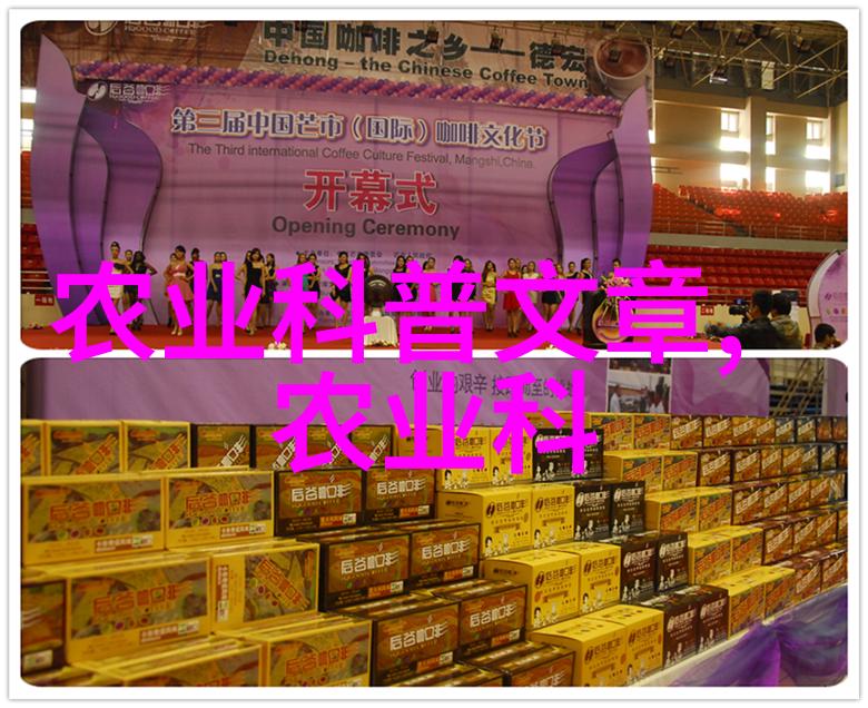 数字纷飞探索考研的无限翅膀