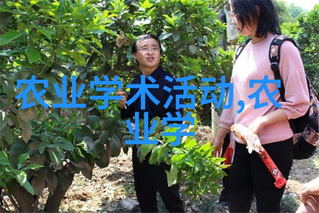 稻谷烘干机高效农作物干燥设备