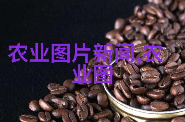 耕耘未来机器的绿茵之梦