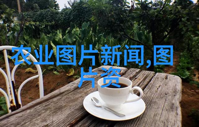 实时追踪市场上12公分彩叶豆梨树苗最新价格走势