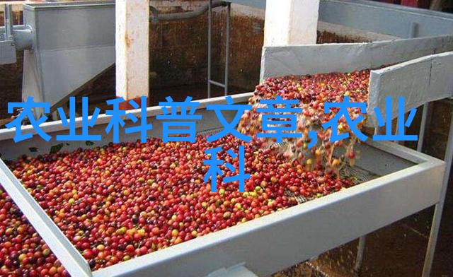 5脾蜂过冬要喂多少白糖我是怎么养出这群健康的小蜂的