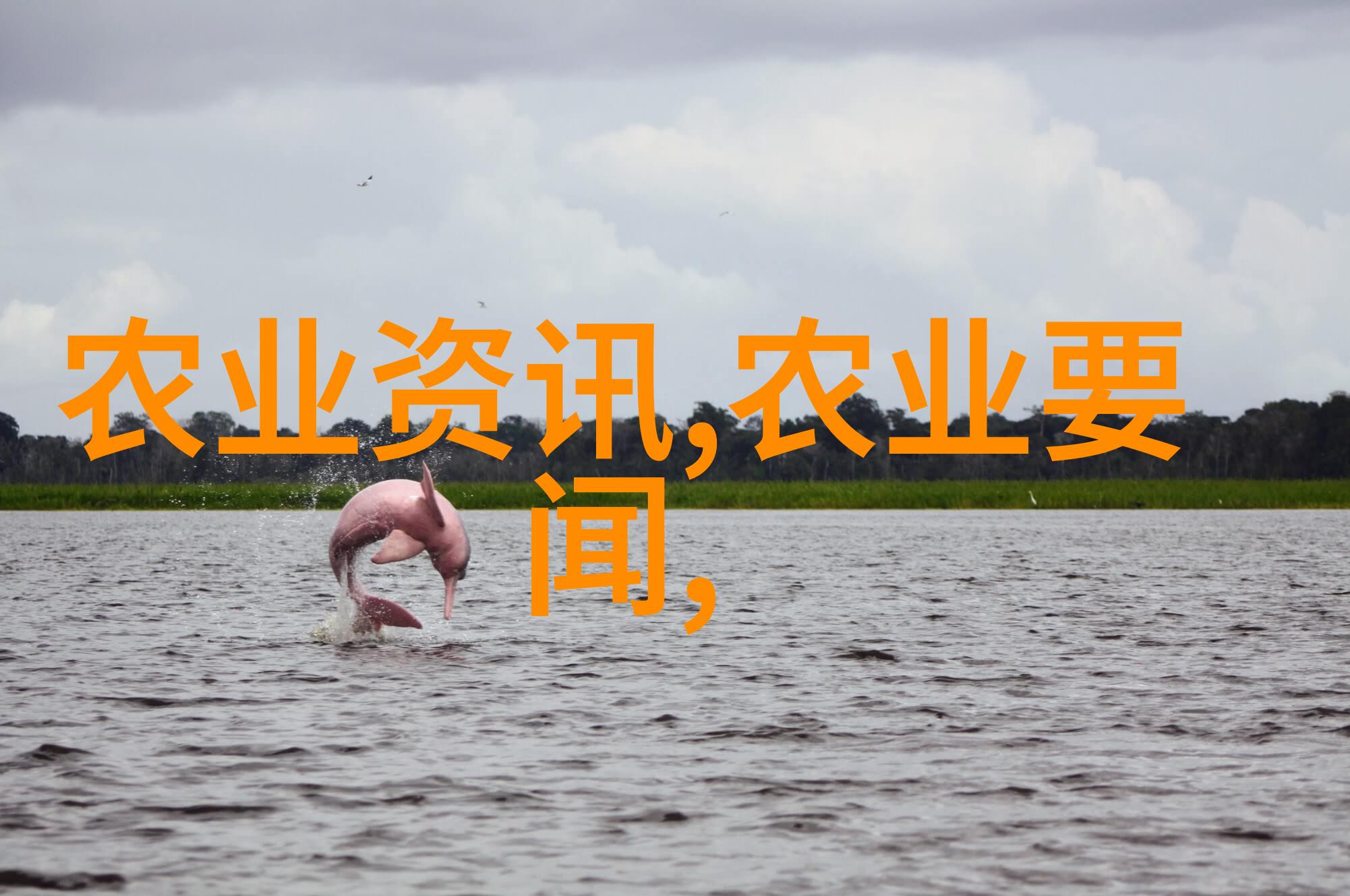 开设专业的园艺服务后我是否还需要单独申请一个新的营业执照