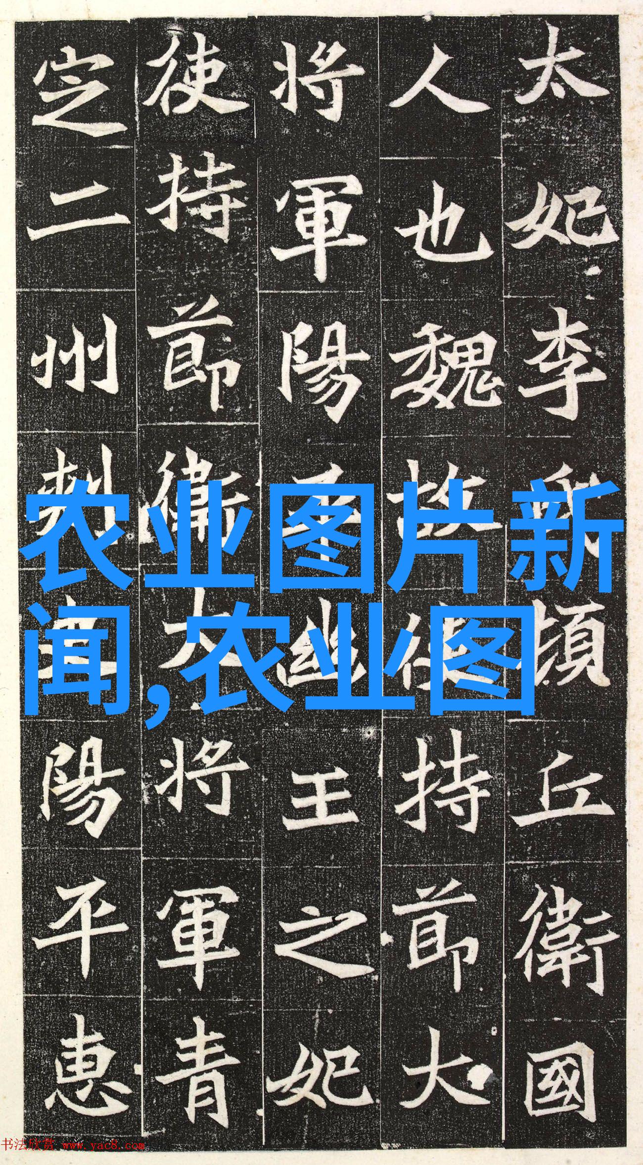 农村养殖什么不愁销路我家种了几亩菜基本上一年四季都能有新鲜蔬菜吃