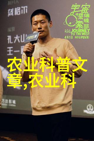 博波的奇幻旅程