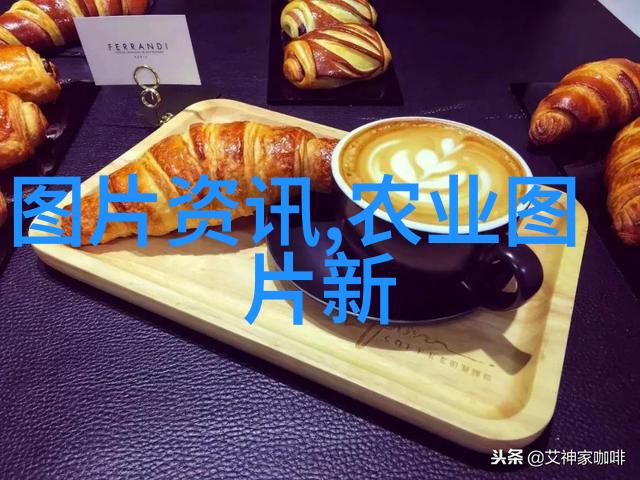 武夷岩 teas 的古韵魅力解读其清淡养生的益处
