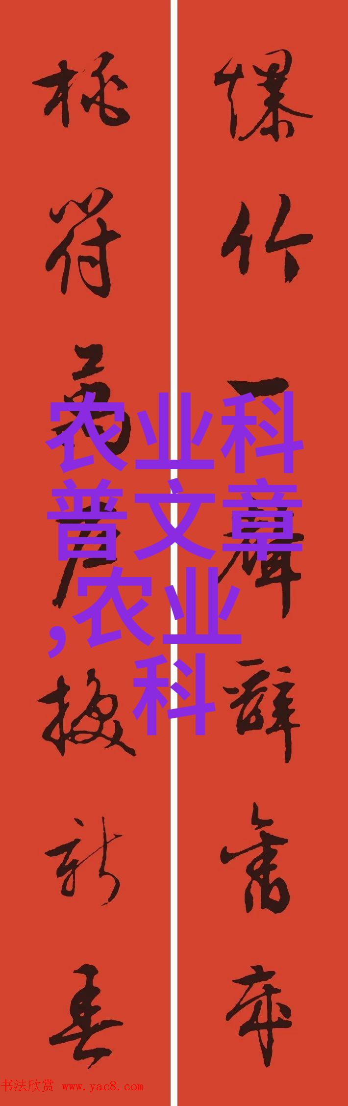 大门守护的秘密一棵树的故事