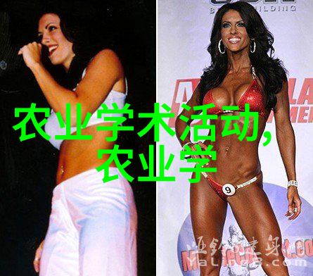 人工智能助力农业决策支持系统DSS建设