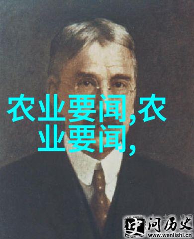 律师皇后权力的法庭