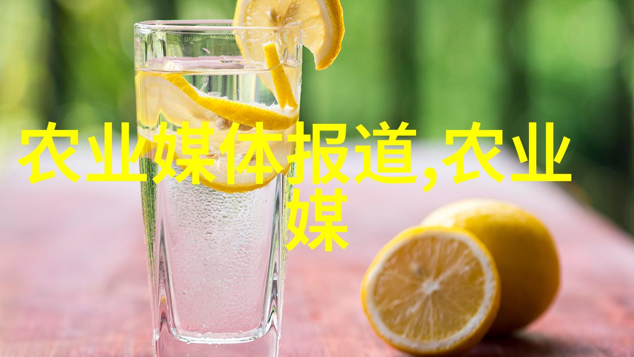 蜜蜂养殖方法-甜蜜的工作者探索高效的蜜蜂养殖技巧