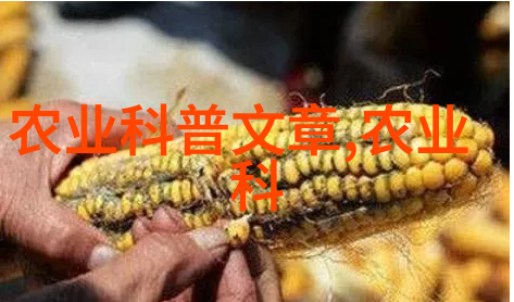 奇草异宝-百万斤价揭秘10000元一斤的稀世药材