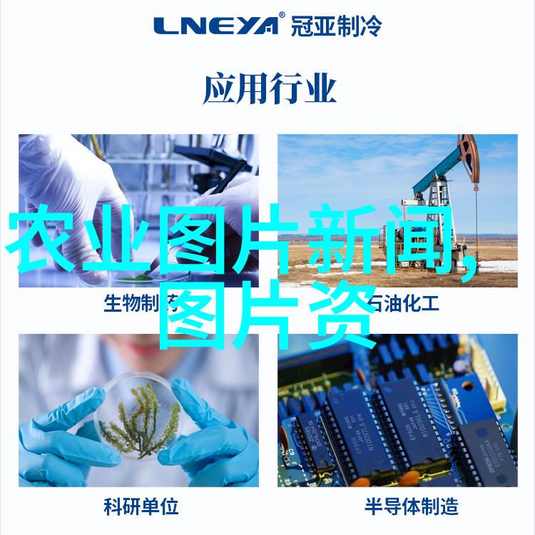 茶文化内涵与茶道精神 - 沁心悦目探索传统茶道中的哲学与艺术