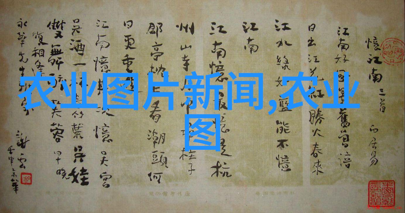蔬菜种植专家免费咨询解锁绿色肥沃的秘密