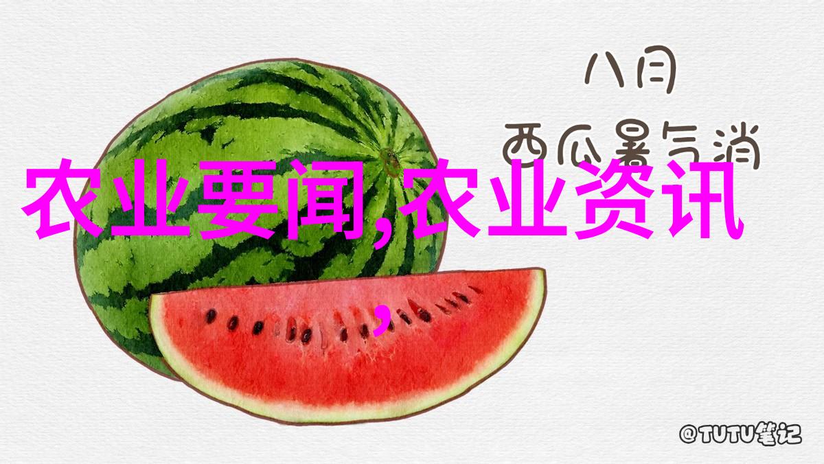 千头椿10公分价格高品质绿色植物装饰